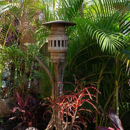 Bamboo Suite, 1 Bedroom, Sleeps 4, Pool & Bbq, Pre-Renovation Summer Sale Kihei Exterior photo