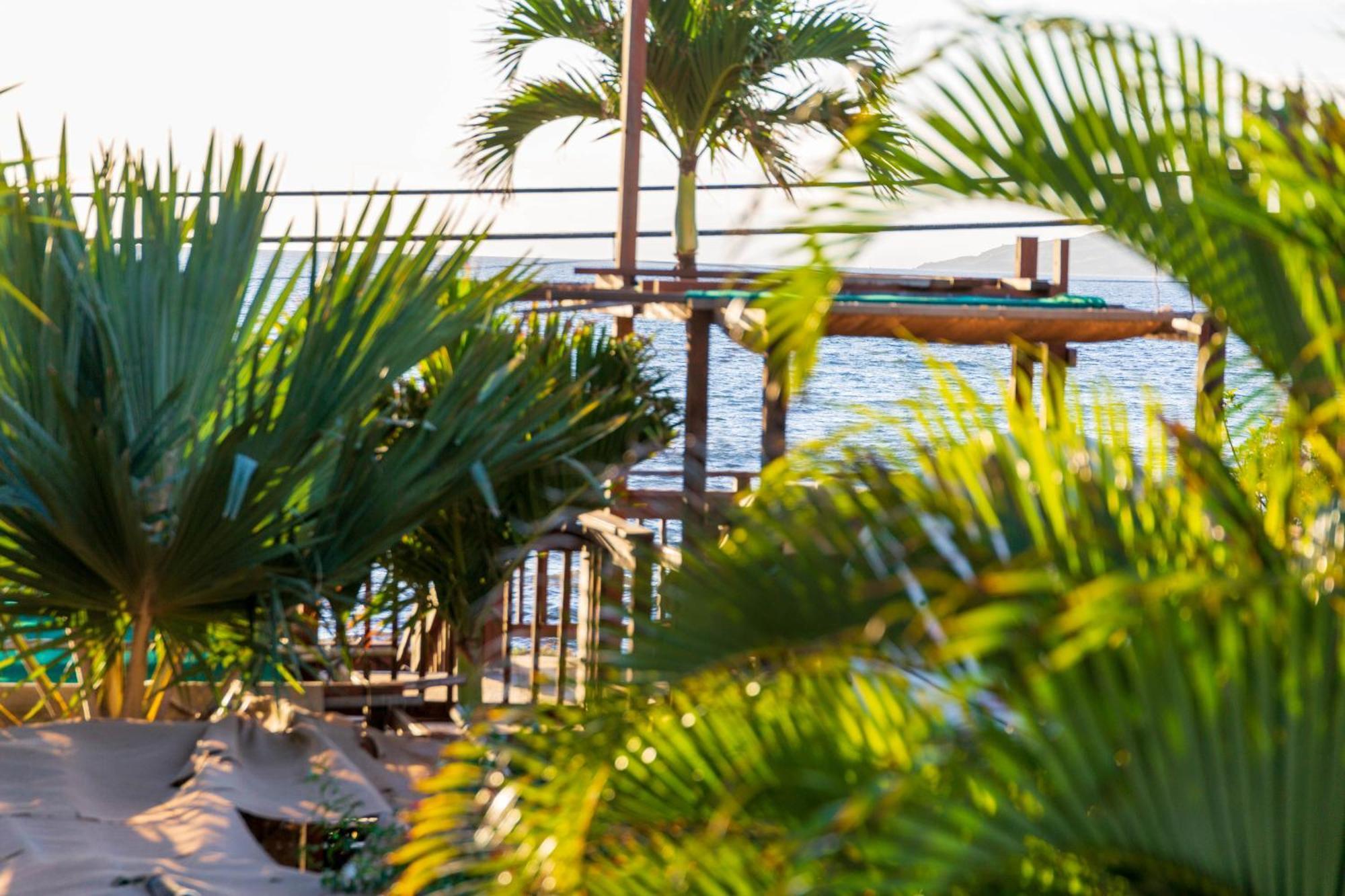 Bamboo Suite, 1 Bedroom, Sleeps 4, Pool & Bbq, Pre-Renovation Summer Sale Kihei Exterior photo